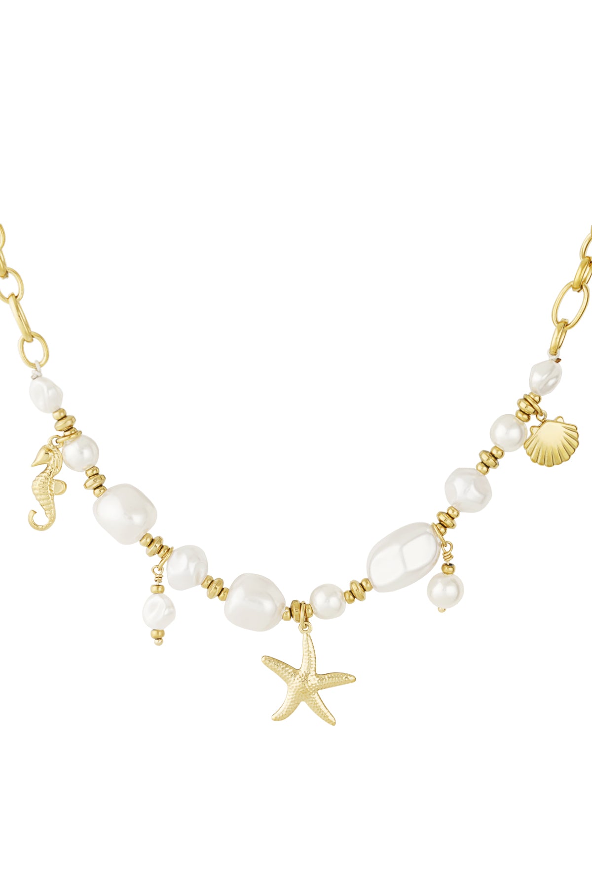 collana organismo marino