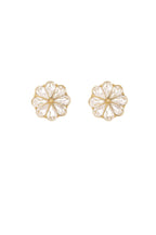 Gemelli Daisy Gleam - Trasparenti