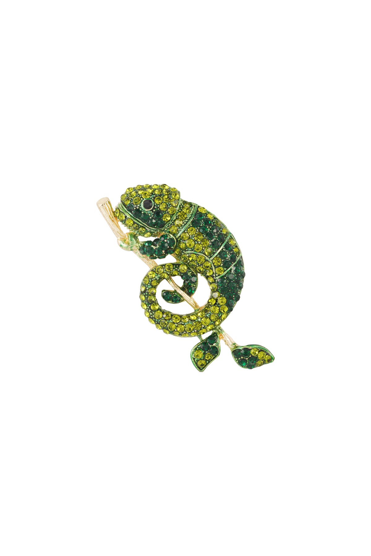 Spilla Salamandra