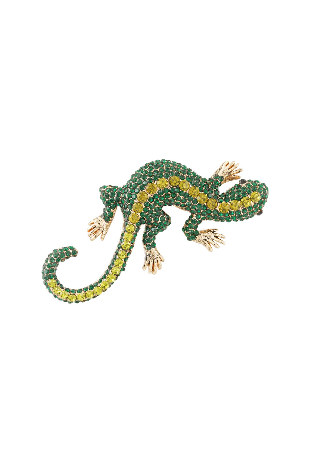 Spilla Salamandra