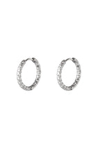 Orecchini a cerchio in acciaio inossidabile Silver Color Stainless Steel