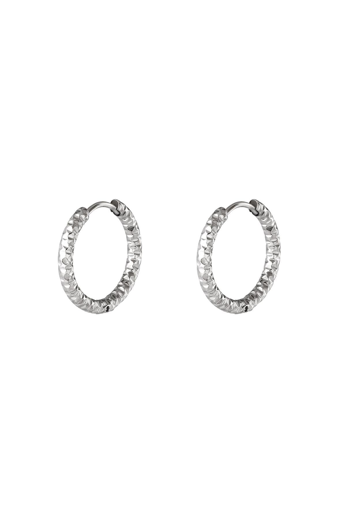 Orecchini a cerchio in acciaio inossidabile Silver Color Stainless Steel