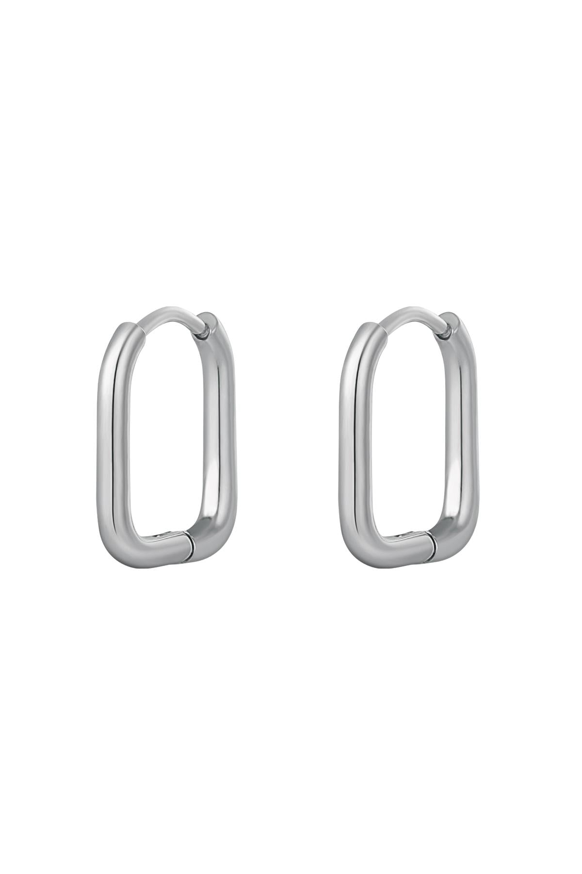 Orecchini classici - grandi Silver Color Stainless Steel