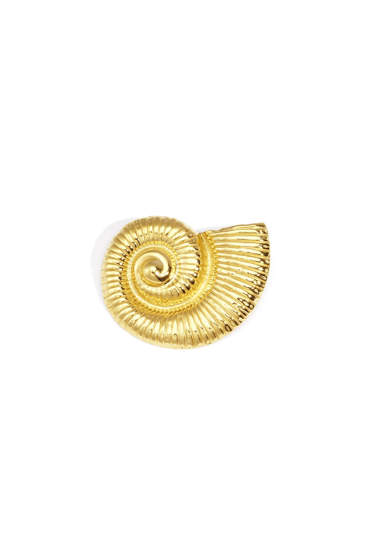 Forcina Borche con conchiglia a spirale