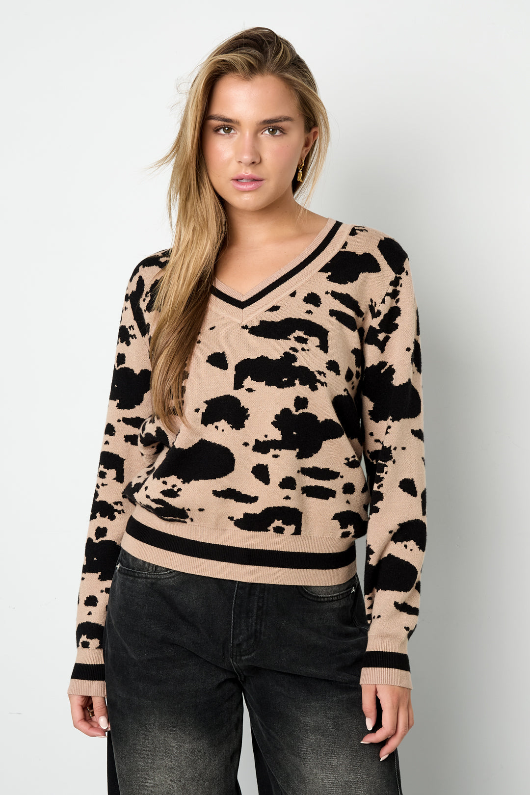 Maglione a V con stampa leopardo in maglia (compresi lavori a uncinetto e tessuti in lana) Donna Autunno/Inverno Casual