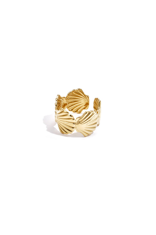 Anello grosso con conchiglie