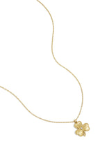 collana portafortuna